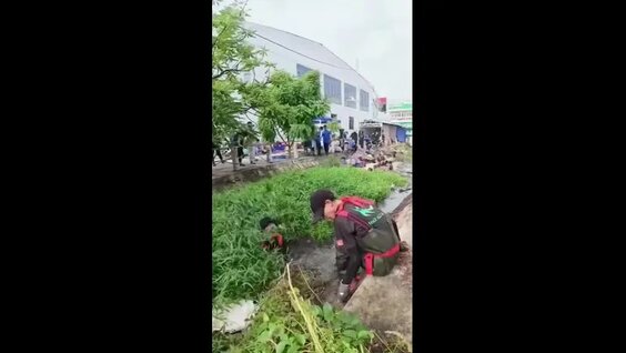 Очистка реки от мусора — Видео от Сила знаний | Наука и факты
