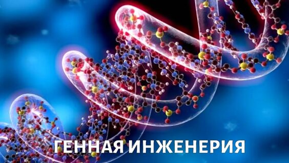 Редактирование ГЕНОВ. Имеем ли мы право менять людей — Видео от Доктор