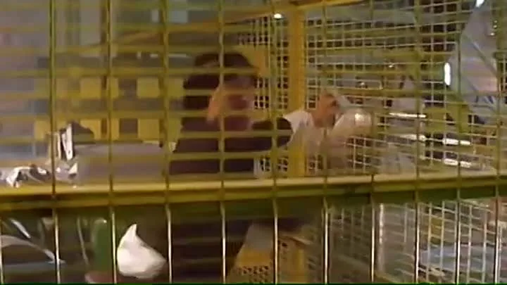 Порно стриптиз шоу концерттік фотосуреттер