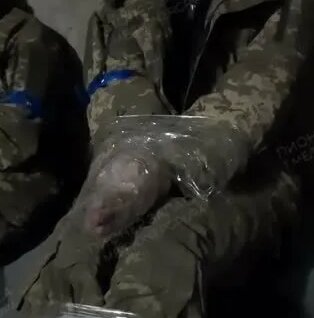 Военная хроника. 15 ноября. — Видео от Военная хроника