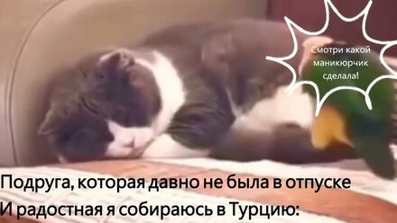 молодец ты молодец!
