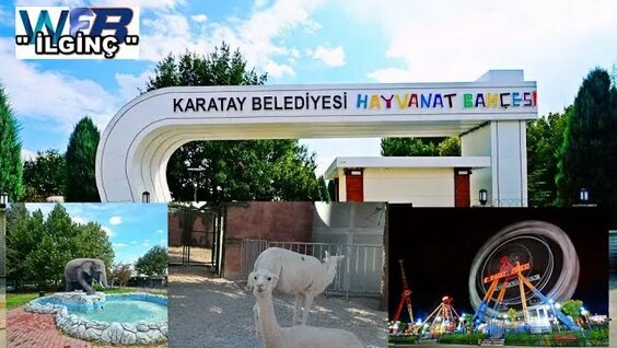konya-hayvanat-bah-esi-972-video-yandex-te-bulundu