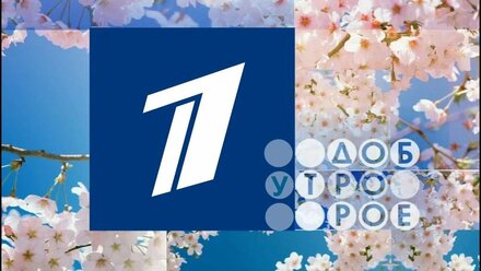Адвокат Роман Лоторев. Первый канал. Доброе утро. Деревянные ипотеки