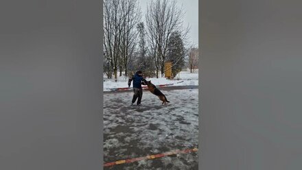 Дрессировочная площадка "Оскар" г. Новочеркасск