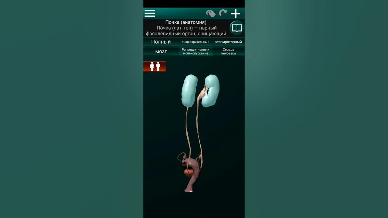 Қыз биемен жыныстық қатынасқа түскен желідегі видео