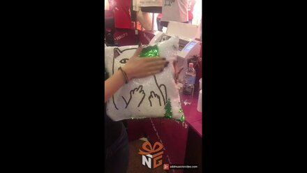 подушка хамелеон2