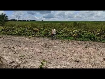 Федеральная СЭС ДЕЗ Комфорт в Калуге. Уничтожение борщевика. Третий этап обработки от борщевика.