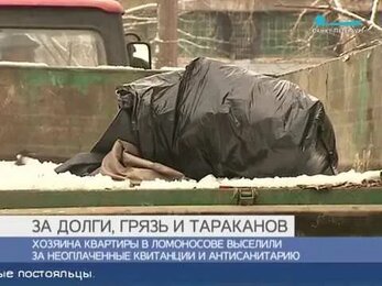Выселение из квартиры