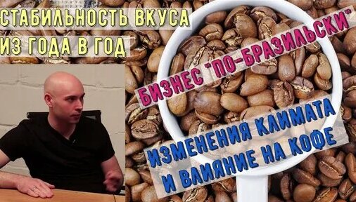 Кофе: стабильность вкуса, особенности производства, изменения климата и бизнес "по-бразильски&q…