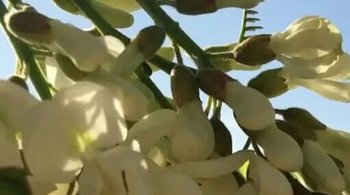 Öznur Güven (oz_nurunuz) İfşa