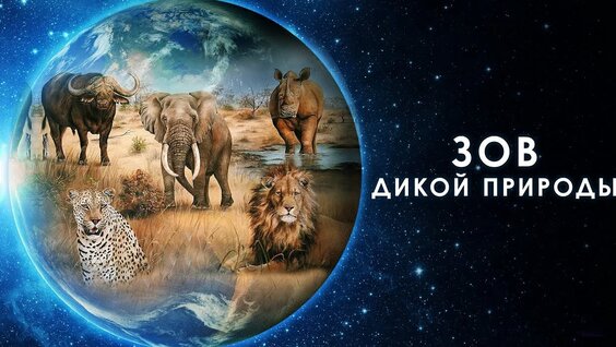 Зов дикой природы / Our Nature (2019) / Документальный — Видео от FILMSTER