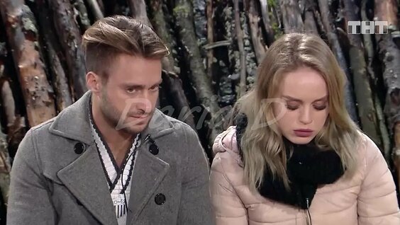 Pringles qutisidan uy qurilishi mushuk