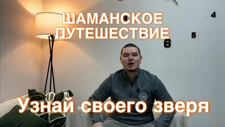 ТОТЕМНЫЕ ЗВЕРИ И 4 СТИХИИ. КАК РАБОТАЕТ ШАМАН?