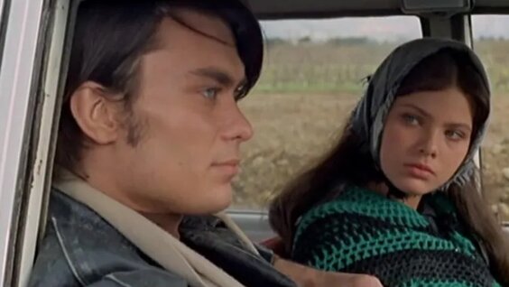 Түйе таяғы порно видео