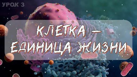 Урок 3 Клеточная теория мембрана мембранный транспорт