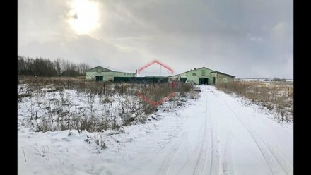 Продается ферма в Собинском р-не Владимирской обл., д. Шуново 40 км от Владимира и 165 км от Москвы.