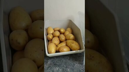 Видео для карточки товара маркетплейса Wildberries