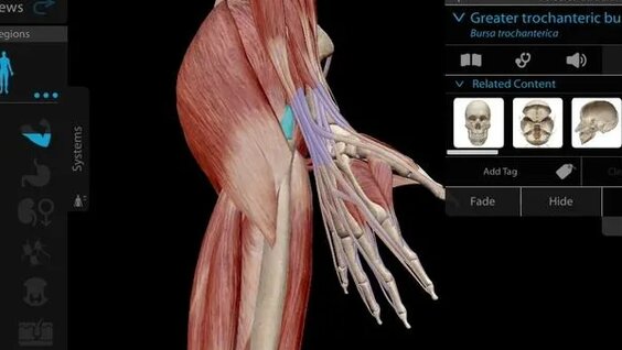 Ішінен порно порно
