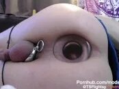 Bukkitbrown Butt Plug