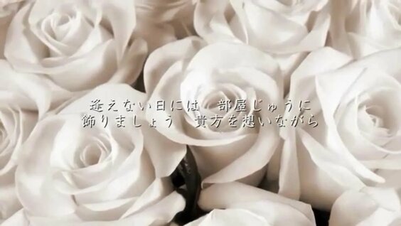 Lovers 恋 に 落ち たら gif