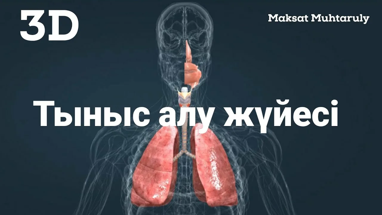 Қызықты секс порно фильмдері