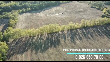 Как раскорчевать старый яблоневый сад с помощью экскаватора и мульчера
