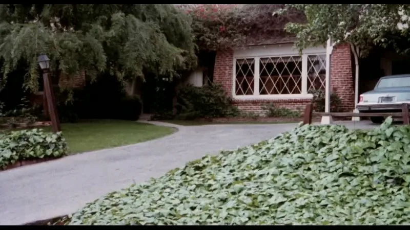 Жезөкше қызды алу үшін әлеуметтік желі