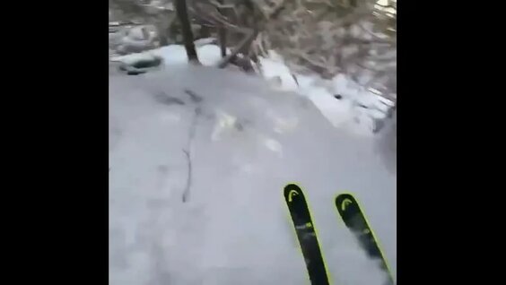 Катание на лыжах с элементами экстрима. Красота просто! — Видео от B.o.S - Биология сп...