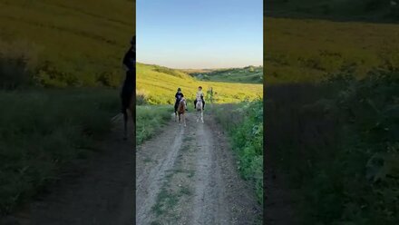 Конная прогулка в разгар лета, ч.2