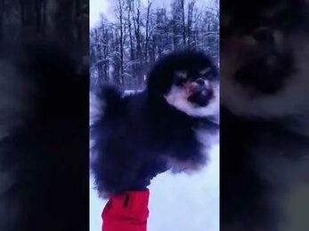 doc 2022 01 24 12 51 00