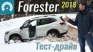 Где застрянет Форестер?  Обзор Subaru Forester 2018