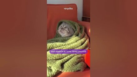 Необъяснимо, но факт🤪