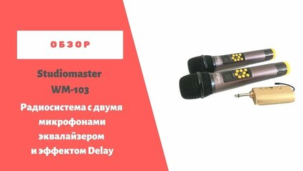 Радиосистема с двумя микрофонами, встроенный эквалайзер и Delay
