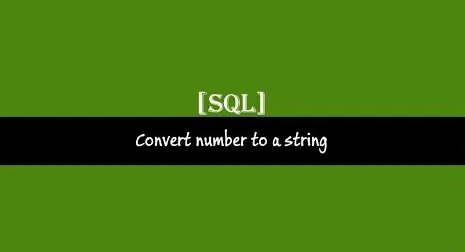 sql convert string to number: 879 video Yandex'te bulundu