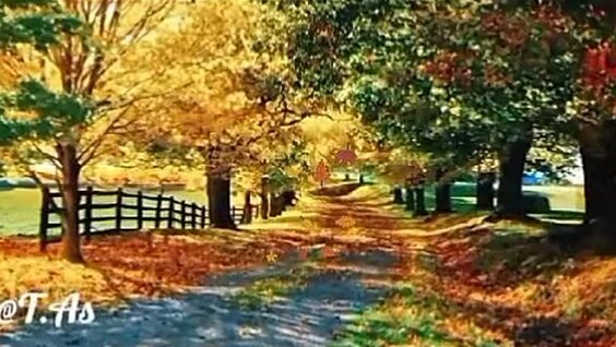 Орыс гей порно видео