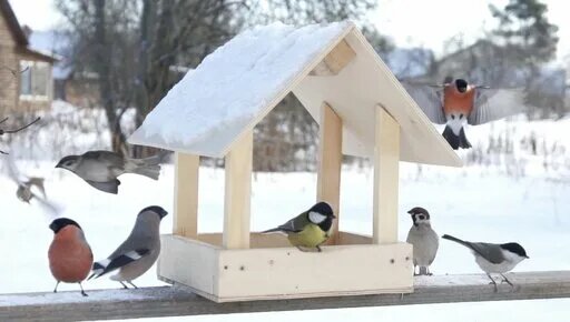 птицы сидят на деревянной кормушке зимой