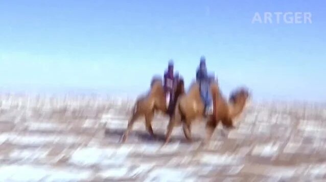 Mongolian Camel Festival – Traditional Bactrian Camel Race! Nomad Life ...