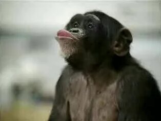 D0 90 D0 B7 D0 B5 D1 80 D1 8B 20 D1 82 D0 B0 D0 bd D1 86 D1 83 D1 8E D1 ...