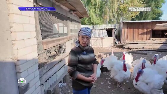Как живут люди в приграничных селах и почему не хотят уезжать — Видео от НТВ