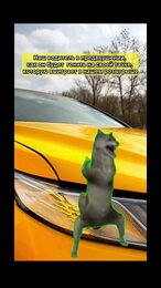 Розыгрыш автомобиля в самом разгаре!🔥 #shorts #automobile #car #trending #trend #top #humor #reels