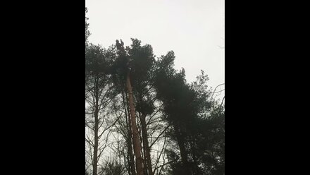 №3 видео