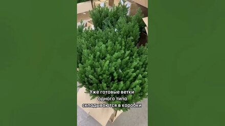 Производство ёлок компании Ёлочки в Дом
