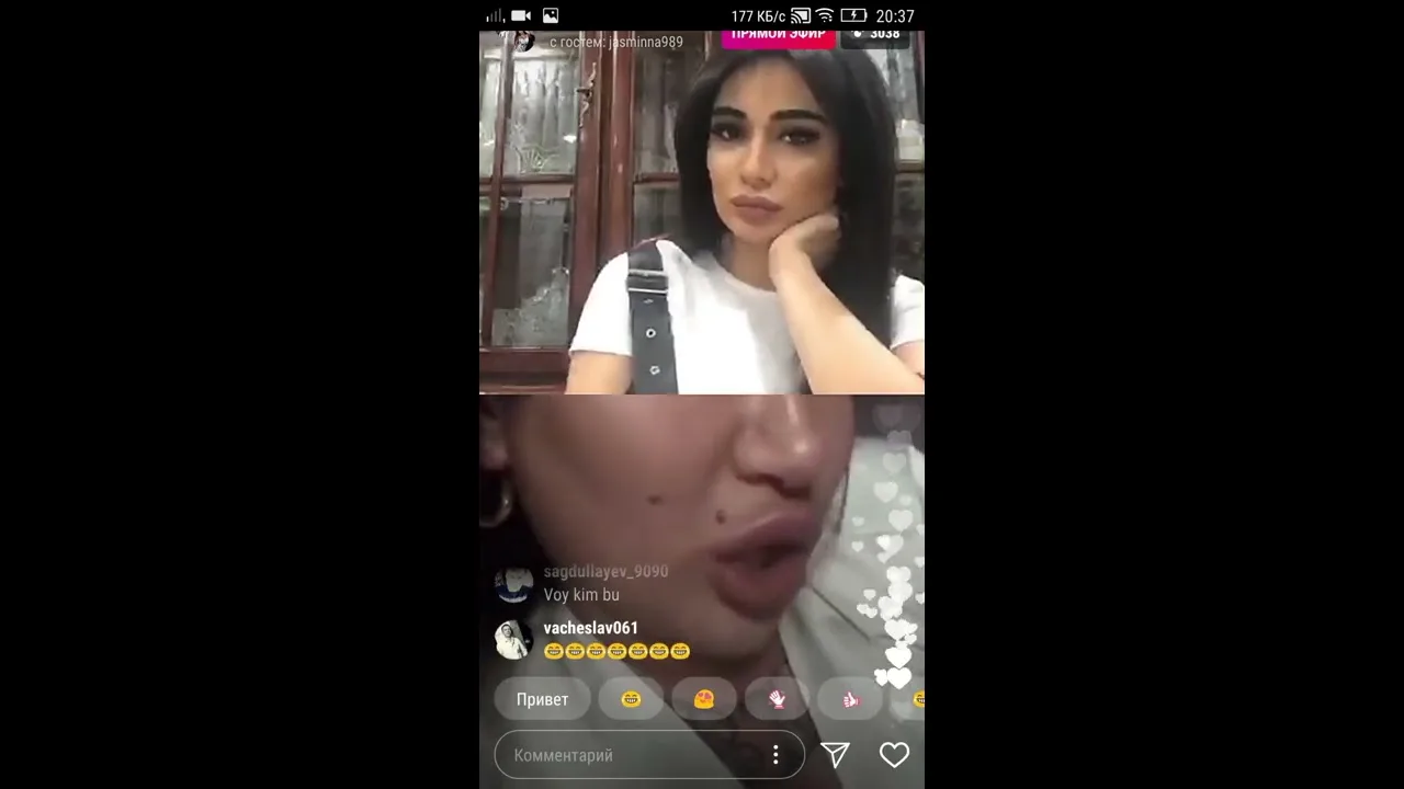 Xolaning yalangoch mushuk surati