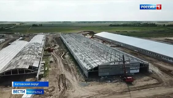 В Кетовском округе завершили строительство 1-го корпуса нового свинокомлекса — Видео от Правительств...