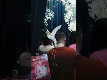 Sagarti - MosBuild 2023 🔥