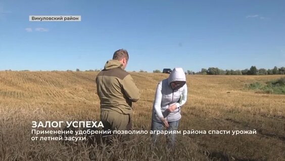 Роль удобрений в выращивании зерновых культур — Видео от Вик.Стар
