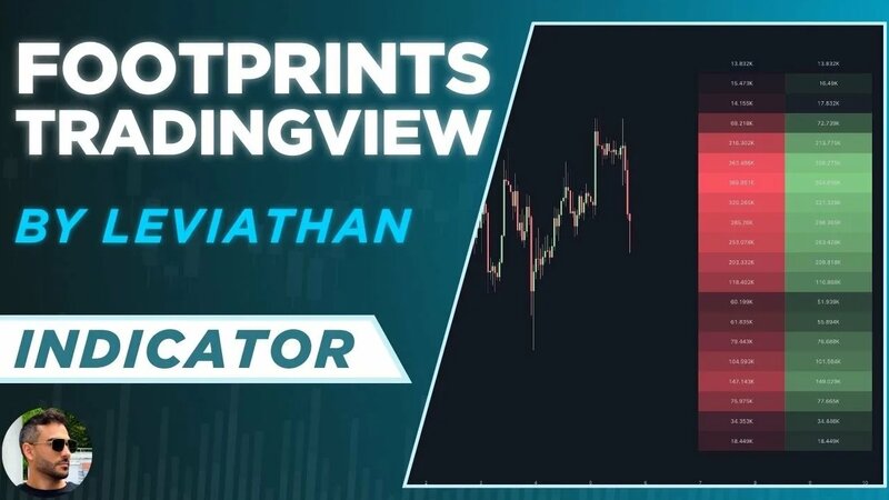 Footprints Chart Indicator on TradingView by LeviathanCapital - Yandex ...