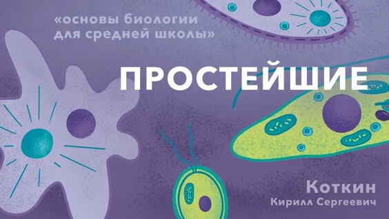 Простейшие. Основы биологии для средней школы. Часть 2. — Видео от «Дети и наука»