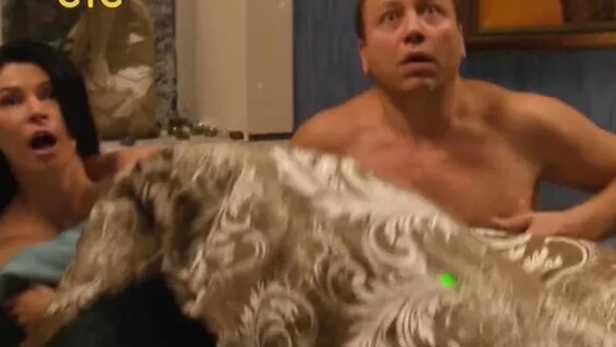 Стюардессамен жыныстық қатынас