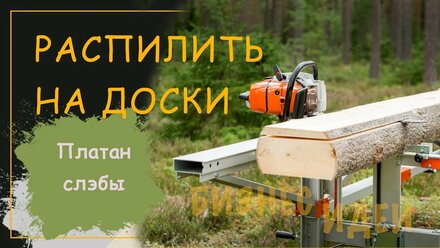Платан слэбы